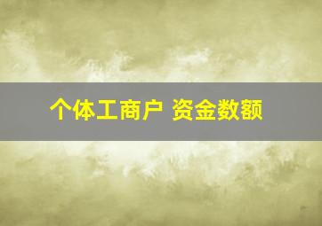 个体工商户 资金数额